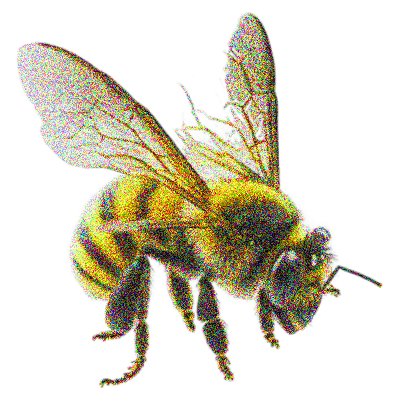 Bee 1 Layer